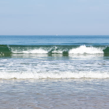 Un vendredi bleu océan, en soutien à la Fondation de la mer