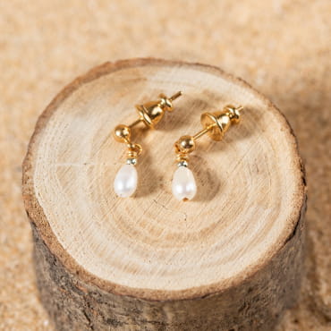 Boucles d'oreilles sur dormeuses de couleur doré.