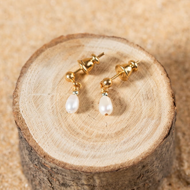 Boucles d'oreilles sur dormeuses de couleur doré.