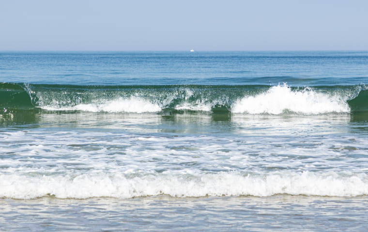 Un vendredi bleu océan,  en soutien à la Fondation de la mer