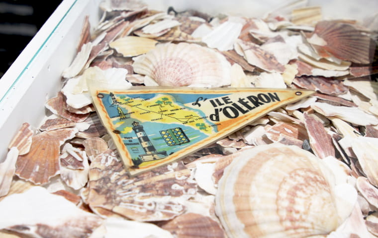 Longez les merveilles de la côte Ouest, au fil de nos 13 boutiques